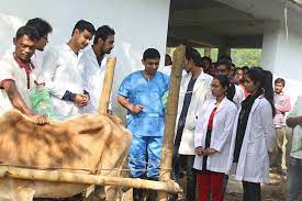 Department of General Animal Science and Animal Nutrition